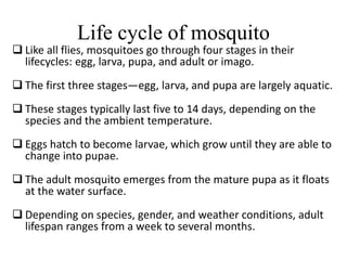 Life cycle of mosquito 
 Like all flies, mosquitoes go through four stages in their 
lifecycles: egg, larva, pupa, and adult or imago. 
 The first three stages—egg, larva, and pupa are largely aquatic. 
 These stages typically last five to 14 days, depending on the 
species and the ambient temperature. 
 Eggs hatch to become larvae, which grow until they are able to 
change into pupae. 
 The adult mosquito emerges from the mature pupa as it floats 
at the water surface. 
 Depending on species, gender, and weather conditions, adult 
lifespan ranges from a week to several months. 
 