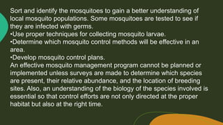 Mosquitoes 101.pptx