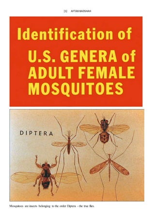 [1] AFTAB BADSHAH
Mosquitoes are insects belonging to the order Diptera - the true flies.
 