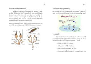 9 10
2.2 ระบบสืบพันธุ์และการสืบพันธุ์ของยุง
ยุงตัวผู้ลอกคราบโผล่ออกจากตัวโม่งก่อนยุงตัวเมีย และอยู่ใกล้ ๆ แหล่ง
เพาะพันธุ์ เมื่อตัวเมียออกมา 1-2 วัน จะผสมพันธุ์กัน หลังจากผสมพันธุ์แล้วยุงตัว
เมียจะออกหาแหล่งเลือด แต่ยุงบางชนิดต้องการเลือดก่อนการผสมพันธุ์ เช่น
Anopheles culicifacies นอกจากนี้ยุงก้นปล่องมีพฤติกรรมการบินว่อนเป็นกลุ่ม
เพื่อการจับคู่ผสมพันธุ์ เรียก swarming ซึ่งมักเกิดขึ้นตอนพระอาทิตย์กาลังตก
โดยแสงที่อ่อนลงอย่างรวดเร็วมีผลในการกระตุ้นกิจกรรมนี้
ส่วนยุงลายจับคู่ผสมพันธุ์โดยไม่ต้อง swarm ตัวผู้จะตอบสนองต่อเสียงกระพือ ปีก
ของยุงตัวเมีย ยุงลายตัวผู้สามารถค้นหาตัวเมียได้ภายในระยะทาง 25 เซนติเมตร
2.3 การเจริญเติบโตและวัฏจักรชีวิตของยุง
ยุงมีวงจรชีวิตแบบสมบูรณ์ (holometabolous) ซึ่งประกอบด้วย ไข่ (egg) ลูกน้า
(larva; พหูพจน์ = larvae) ตัวโม่ง (pupa; พหูพจน์ = pupae) และยุงตัวแก่ (adult)
2.3.1 ระยะไข่
ไข่ยุงแต่ละชนิดมีขนาดและลักษณะไม่เหมือนกัน จากลักษณะการวางไข่
อาจบอกชนิดของกลุ่มยุงได้ ยุงชอบวางไข่บนผิวน้าหรือบริเวณชื้น ๆ เช่น บริเวณ
ขอบภาชนะเหนือระดับน้า การวางไข่ของยุงแบ่งออกเป็น 4 ประเภท
-วางไข่ใบเดี่ยวๆ บนผิวน้า เช่น ยุงก้นปล่อง
-วางไข่เป็นแพ (raft) บนผิวน้า เช่น ยุงราคาญ
-วางไข่เดี่ยว ๆ ตามขอบเหนือระดับน้า เช่น ยุงลาย
-วางไข่ติดกับใบพืชน้าเป็นกลุ่ม เช่น ยุงเสือ หรือยุงฟิลาเรีย
 