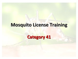 Mosquito License Training Category 41 