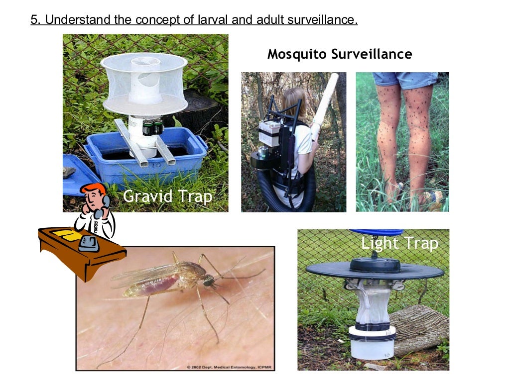 Mosquito license training chap 3 4