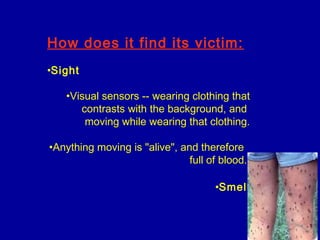 How does it find its victim:
•Sight
•Visual sensors -- wearing clothing that
contrasts with the background, and
moving while wearing that clothing.
•Anything moving is "alive", and therefore
full of blood.
•Smell
 