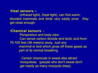 •Heat sensors –
(infrared light), (heat light), can find warm-
blooded mammals and birds very easily once they
get close enough.
•Chemical sensors –
Perspiration and body odor.
Can sense carbon dioxide and lactic acid from
75-100 feet (36 meters) away. Just any
mammal or bird which gives off these gases as
part of its normal breathing
. Certain chemicals in sweat also attract
mosquitoes (people who don't sweat don't
get nearly as many mosquito bites).
 