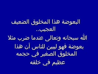 ‫الضعيف‬ ‫المخلوق‬ ‫هذا‬ ‫البعوضة‬‫الضعيف‬ ‫المخلوق‬ ‫هذا‬ ‫البعوضة‬
..‫العجيب‬..‫العجيب‬
‫ثمثل‬ ‫ضرب‬ ‫نعندثما‬ ‫توتعالى‬ ‫بسبحانه‬ ‫ا‬‫ثمثل‬ ‫ضرب‬ ‫نعندثما‬ ‫توتعالى‬ ‫بسبحانه‬ ‫ا‬
‫هذا‬ ‫نأن‬ ‫للناس‬ ‫ليبين‬ ‫فهو‬ ‫بعوضة‬‫هذا‬ ‫نأن‬ ‫للناس‬ ‫ليبين‬ ‫فهو‬ ‫بعوضة‬
‫جحجمه‬ ‫في‬ ‫الصغير‬ ‫المخلوق‬‫جحجمه‬ ‫في‬ ‫الصغير‬ ‫المخلوق‬
‫لخلقه‬ ‫في‬ ‫نعظيم‬‫لخلقه‬ ‫في‬ ‫نعظيم‬
 