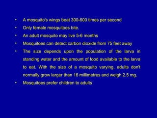 • A mosquito's wings beat 300-600 times per second
• Only female mosquitoes bite.
• An adult mosquito may live 5-6 months
• Mosquitoes can detect carbon dioxide from 75 feet away
• The size depends upon the population of the larva in
standing water and the amount of food available to the larva
to eat. With the size of a mosquito varying, adults don't
normally grow larger than 16 millimetres and weigh 2.5 mg.
• Mosquitoes prefer children to adults
 