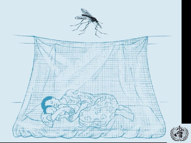 Mosquito Nets