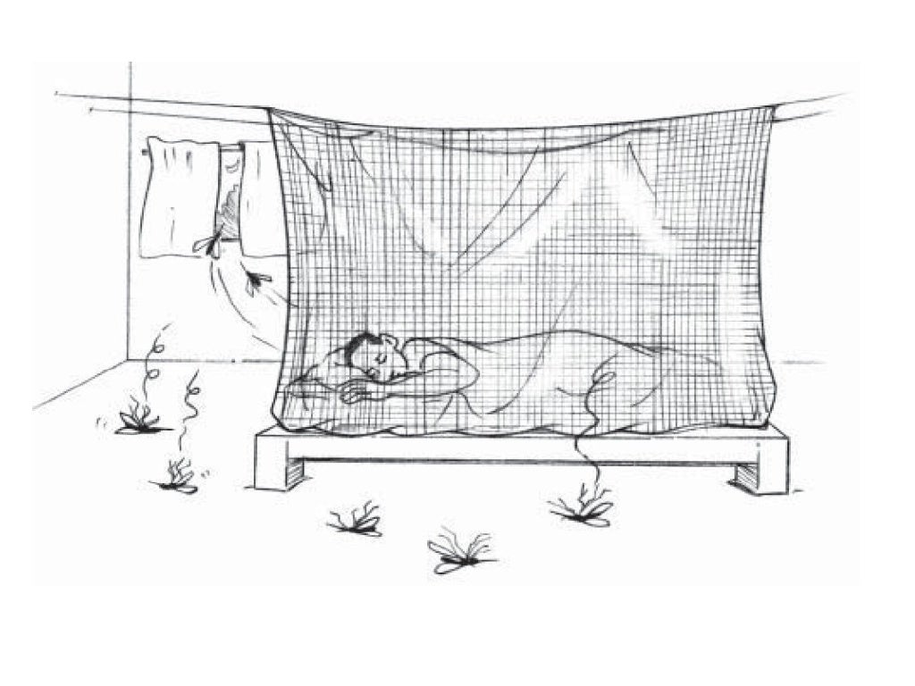 Mosquito Nets