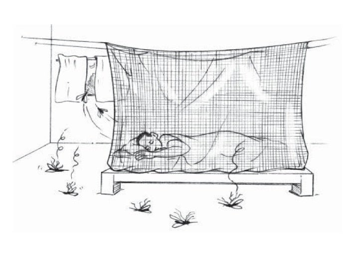 Mosquito Nets