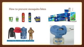 How to prevent mosquito bites
 