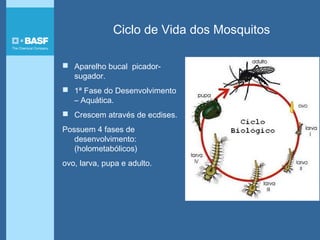 Ciclo de Vida dos Mosquitos
 Aparelho bucal picador-
sugador.
 1ª Fase do Desenvolvimento
– Aquática.
 Crescem através de ecdises.
Possuem 4 fases de
desenvolvimento:
(holometabólicos)
ovo, larva, pupa e adulto.
 