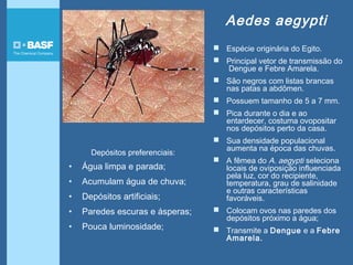  Espécie originária do Egito.
 Principal vetor de transmissão do
Dengue e Febre Amarela.
 São negros com listas brancas
nas patas a abdômen.
 Possuem tamanho de 5 a 7 mm.
 Pica durante o dia e ao
entardecer, costuma ovopositar
nos depósitos perto da casa.
 Sua densidade populacional
aumenta na época das chuvas.
 A fêmea do A. aegypti seleciona
locais de oviposição influenciada
pela luz, cor do recipiente,
temperatura, grau de salinidade
e outras características
favoráveis.
 Colocam ovos nas paredes dos
depósitos próximo a água;
 Transmite a Dengue e a Febre
Amarela.
Depósitos preferenciais:
• Água limpa e parada;
• Acumulam água de chuva;
• Depósitos artificiais;
• Paredes escuras e ásperas;
• Pouca luminosidade;
Aedes aegypti
 