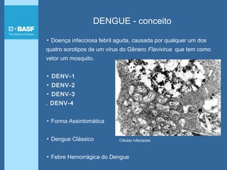DENGUE - conceito
▪ Doença infecciosa febril aguda, causada por qualquer um dos
quatro sorotipos de um vírus do Gênero Flavivirus que tem como
vetor um mosquito.
▪ DENV-1
▪ DENV-2
▪ DENV-3
. DENV-4
▪ Forma Assintomática
▪ Dengue Clássico
▪ Febre Hemorrágica do Dengue
Células infectadas.
 