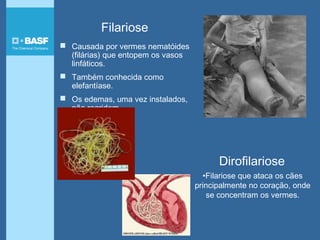 Filariose
 Causada por vermes nematóides
(filárias) que entopem os vasos
linfáticos.
 Também conhecida como
elefantíase.
 Os edemas, uma vez instalados,
não regridem.
Dirofilariose
•Filariose que ataca os cães
principalmente no coração, onde
se concentram os vermes.
 