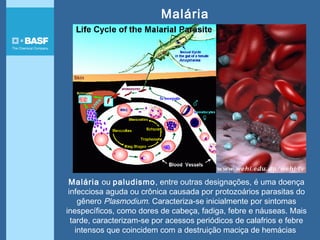 Malária
Malária ou paludismo, entre outras designações, é uma doença
infecciosa aguda ou crônica causada por protozoários parasitas do
gênero Plasmodium. Caracteriza-se inicialmente por sintomas
inespecíficos, como dores de cabeça, fadiga, febre e náuseas. Mais
tarde, caracterizam-se por acessos periódicos de calafrios e febre
intensos que coincidem com a destruição maciça de hemácias
 