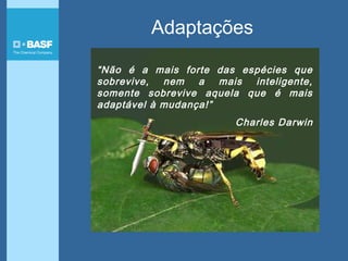 “Não é a mais forte das espécies que
sobrevive, nem a mais inteligente,
somente sobrevive aquela que é mais
adaptável à mudança!”
Charles Darwin
Adaptações
 