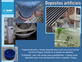 Tradicionalmente o Aedes deposita seus ovos um pouco acima
da linha D’água, fixando-os a parede do depósito.
Entretanto, caso não exista essa possibilidade, o Aedes pode
depositar seus ovos diretamente sobre o espelho D’água
 