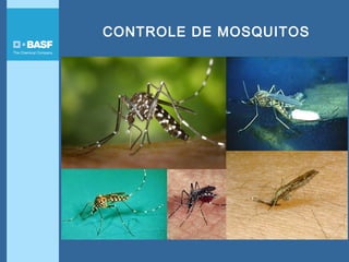 CONTROLE DE MOSQUITOS
 