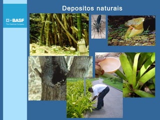 Depositos naturais
 