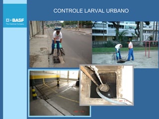 CONTROLE LARVAL URBANO
 