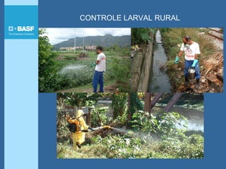 CONTROLE LARVAL RURAL
 