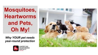 Mosquitoes,
Heartworms
and Pets,
Oh My!
Why YOUR pet needs
year-round protection
 