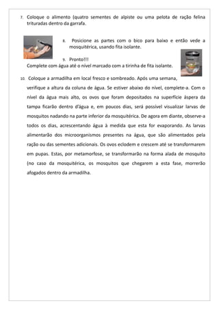 7. Coloque o alimento (quatro sementes de alpiste ou uma pelota de ração felina
trituradas dentro da garrafa.
8. Posicione as partes com o bico para baixo e então vede a
mosquitérica, usando fita isolante.
9. Pronto!!!
Complete com água até o nível marcado com a tirinha de fita isolante.
10. Coloque a armadilha em local fresco e sombreado. Após uma semana,
verifique a altura da coluna de água. Se estiver abaixo do nível, complete-a. Com o
nível da água mais alto, os ovos que foram depositados na superfície áspera da
tampa ficarão dentro d’água e, em poucos dias, será possível visualizar larvas de
mosquitos nadando na parte inferior da mosquitérica. De agora em diante, observe-a
todos os dias, acrescentando água à medida que esta for evaporando. As larvas
alimentarão dos microorganismos presentes na água, que são alimentados pela
ração ou das sementes adicionais. Os ovos eclodem e crescem até se transformarem
em pupas. Estas, por metamorfose, se transformarão na forma alada de mosquito
(no caso da mosquitérica, os mosquitos que chegarem a esta fase, morrerão
afogados dentro da armadilha.
 