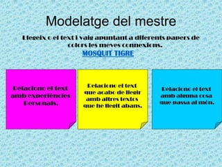 Modelatge del mestre
Llegeix o el text i vaig apuntant a diferents papers de
colors les meves connexions.
MOSQUIT TIGRE
Relaciono el text
amb experiències
Personals.
Relaciono el text
que acabo de llegir
amb altres textos
que he llegit abans.
Relaciono el text
amb alguna cosa
que passa al món.
 