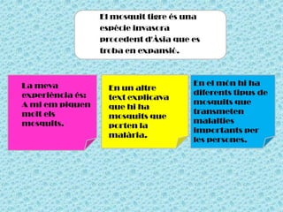 En el món hi ha
diferents tipus de
mosquits que
transmeten
malalties
importants per
les persones.
El mosquit tigre és una
espècie invasora
procedent d'Àsia que es
troba en expansió.
La meva
experiència és:
A mi em piquen
molt els
mosquits.
En un altre
text explicava
que hi ha
mosquits que
porten la
malària.
 