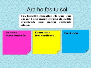 Ara ho fas tu sol
La meva
experiència és:
En un altre
text explicava
En el món
Les femelles dipositen els seus ous
en sec i a la paret interna de petits
recipients que poden contenir
aigua.
 