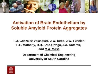 F.J. Gonzalez-Velasquez, J.W. Reed, J.W. Fuseler, E.E. Matherly, D.D. Soto-Ortega, J.A. Kotarek,  and  M.A. Moss Department of Chemical Engineering University of South Carolina Activation of Brain Endothelium by Soluble Amyloid Protein Aggregates 