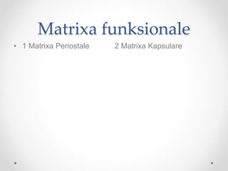 Matrixa funksionale
• 1 Matrixa Periostale 2 Matrixa Kapsulare
 