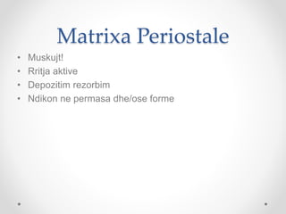 Matrixa Periostale
• Muskujt!
• Rritja aktive
• Depozitim rezorbim
• Ndikon ne permasa dhe/ose forme
 