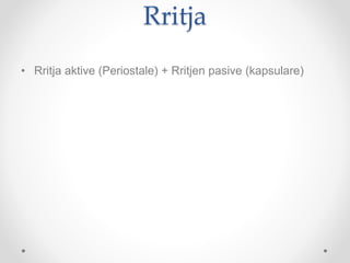 Rritja
• Rritja aktive (Periostale) + Rritjen pasive (kapsulare)
 