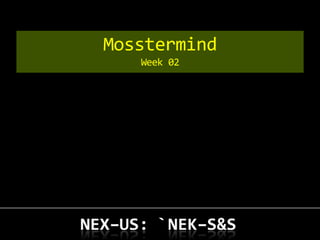 Mosstermind   
   Week 02
 
