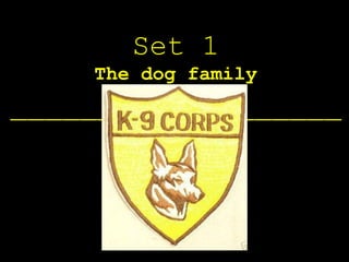 Set 1 The dog family ___________________ 