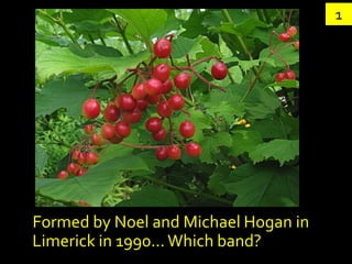 1




Formed by Noel and Michael Hogan in
Limerick in 1990... Which band?
 