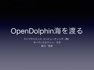 OpenDolphin海を渡る
ライフサイエンス コンピューティング（株）
オープンドルフィン・ラボ
皆川 和史
 