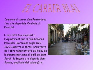 Comença al carrer d’en Fontrodona fins a la plaça dels Ocellets al Paral.lel. L'any 1915 fou proposat a l'Ajuntament que el nom honorés Pere Blai (Barcelona segle XVI – 1620). Mestre d'obres. Arquitecte de l'obra renaixentista del Palau de la Generalitat, amb el Saló de Sant Jordi i la façana a la plaça de Sant Jaume, ampliació del palau gòtic. EL CARRER BLAI 