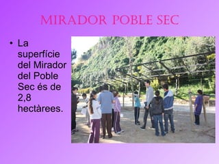 Mirador Poble Sec La superfície del Mirador del Poble Sec és de 2,8 hectàrees.  