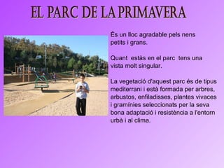 És un lloc agradable pels nens petits i grans.  Quant  estàs en el parc  tens una  vista molt singular.  La vegetació d'aquest parc és de tipus mediterrani i està formada per arbres, arbustos, enfiladisses, plantes vivaces i gramínies seleccionats per la seva bona adaptació i resistència a l'entorn urbà i al clima.  