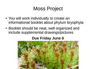 Moss Project
● You will work individually to create an
informational booklet about phylum bryophyta
● Booklet should be neat, well organized and
include supplemental drawings/pictures
Due Friday June 6
 