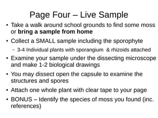 Page Four – Live Sample
● Take a walk around school grounds to find some moss
or bring a sample from home
● Collect a SMALL sample including the sporophyte
– 3-4 Individual plants with sporangium & rhizoids attached
● Examine your sample under the dissecting microscope
and make 1-2 biological drawings
● You may dissect open the capsule to examine the
structures and spores
● Attach one whole plant with clear tape to your page
● BONUS – Identify the species of moss you found (inc.
references)
 