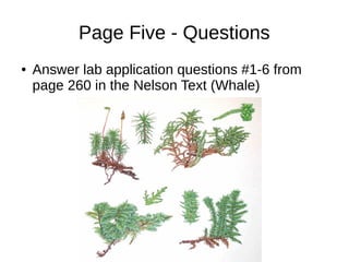 Page Five - Questions
● Answer lab application questions #1-6 from
page 260 in the Nelson Text (Whale)
 