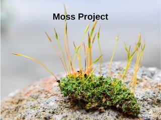 Moss Project
 