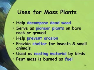 Uses for Moss Plants
• Help decompose dead wood
• Serve as pioneer plants on bare
rock or ground
• Help prevent erosion
• Provide shelter for insects & small
animals
• Used as nesting material by birds
• Peat moss is burned as fuel
11
 