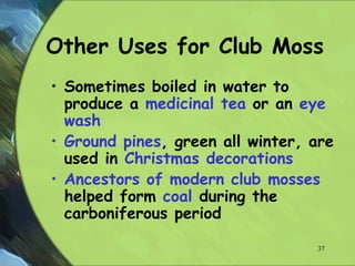 Other Uses for Club Moss
• Sometimes boiled in water to
produce a medicinal tea or an eye
wash
• Ground pines, green all winter, are
used in Christmas decorations
• Ancestors of modern club mosses
helped form coal during the
carboniferous period
37
 