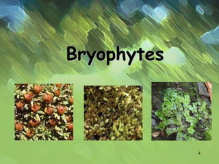 Bryophytes
4
 