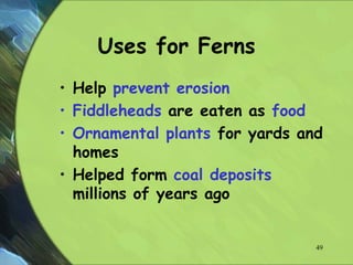 Uses for Ferns
• Help prevent erosion
• Fiddleheads are eaten as food
• Ornamental plants for yards and
homes
• Helped form coal deposits
millions of years ago
49
 