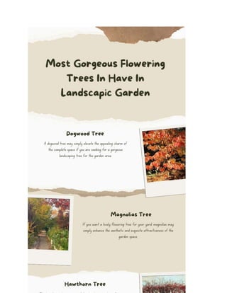 Most Gorgeous Flowering Trees In Have In Landscapic Garden